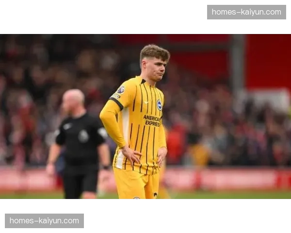 布莱顿五名伤员，弗格森脚踝伤势影响进攻线