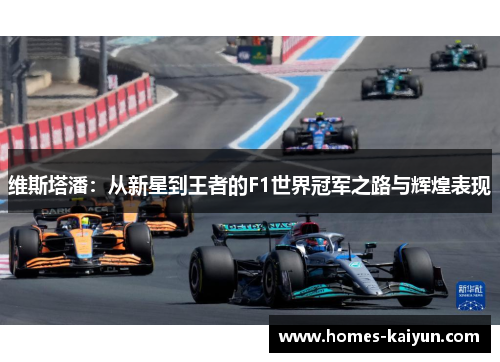 维斯塔潘：从新星到王者的F1世界冠军之路与辉煌表现