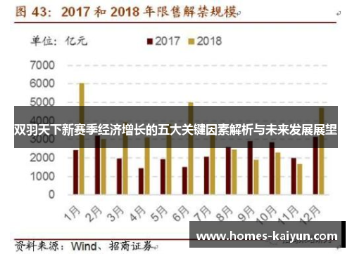 双羽天下新赛季经济增长的五大关键因素解析与未来发展展望